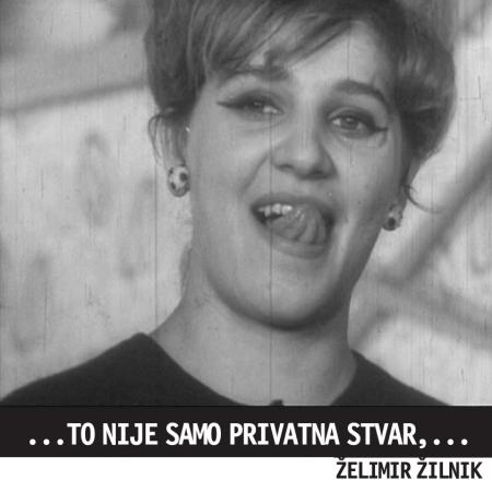 kuda.
